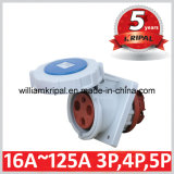 IP67 16A 2p+E Cee Panel Socket Outlet