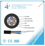 Duct Use Antirodents Single Model GYFTY Fiber Optic Cable with 72 Core
