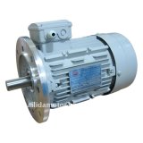 High Efficiency Three Phase Induction Electric Motor