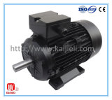 Y2 Series Three Phase Electric Motor, Induction Motor, AC Motor