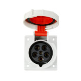 Industrial Straight Flange Socket, IEC Standard, Flush Mounted