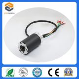 42mm 3 Phase Gear BLDC Motor (FXD42YBL SERIES)