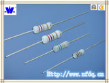Rxf Wirewound Fuse Resistor with ISO9001