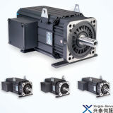 AC Permanent Magnet Synchronous Servo Motor for Injection Machine