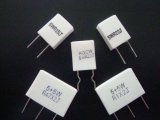 Rgc Ceramic Wire Wound Resistor/Cement Power Resistor