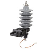 View Larger Image11kv Silicone Rubber Lightning Arrester11kv Silicone Rubber Lightning Arrester