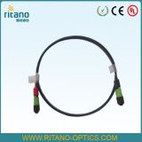 MPO MTP Fiber Optic Drop Cable Assembling Patchcord with Low Loss 0.2dB