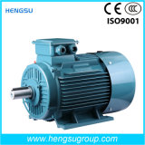 Ye2 High Efficiency Three-Phase Induction Motor of Frame 71-355 and Multi-Pole Changeable