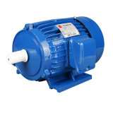 IEC Standard Three-Phase Induction Motor