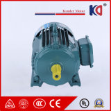 3HP AC Electric Induction Motor with Gearbox