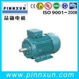 Ie 1 Efficiency and Ce Certification Three Phase AC Induction Motor 220kw 300HP