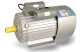 Series Single-Phase Dual Capacitor Induction Motor (YL)
