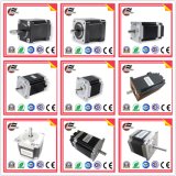 2 Phase Electric DC Servo Stepper Stepping Motor for Auto Parts