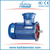 25 HP Three Phase Explosion-Proof Motor with Atex Certificate