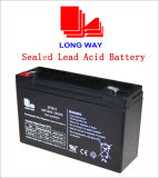6V10 VRLA Battery Used for Alarm System Emergency Systems Lead Acid Battery Without Maintenance