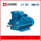 Three Phase AC Explosion-Proof Asynchronous Electric Motor with Ce