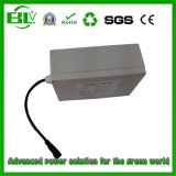 12V 50ah 30ah LiFePO4 Rechargeable Storage UPS Battery for Solar Street Light Battery Solar Storage