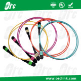 8f/12f/24f MTP/MPO Patchcord Jumper Optical Fiber Connector Sm/mm/Om3/Om4 PVC/LSZH/Ofnp 1m