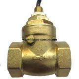 Baffle Flow Switch in Brass Material
