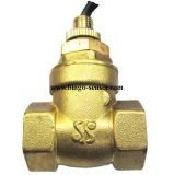 Brass or Ss316 Paddle Type Flow Switches