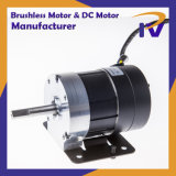 Permanent Magnet Rated Speed 900-2500 Pm Brushless or Brush DC BLDC Motor with Ce