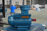 High Effiency Reliable Permanent Magnet Motor