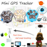 Wireless Mini Pets GPS Tracker with GPS+Lbs+WiFi V32