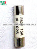 250V Low Voltage Little Fuse Cylindrical Cap 6x25