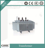 Sh15 10kv Three Phase Oil-Immersed Full-Sealing Amorphous Alloy Energy-Saving Power Distribution Transformer