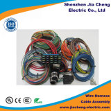 Automobile Application Automotive Wire Harness Motorcycle Battery Charger