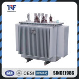 33kv 415V 3150kVA Electrical Transformer Overhead Type Oil Immersed Transformer