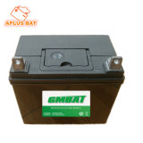 Rechargeable Lawn Tractor Sealed Mf Lead Acid Battery U1r-7 12V18ah