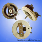 Single Turn Resistor 100W 30ohm Rotary Taper Pot Ceramic Disk Rheostat