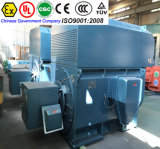 Shanghai Electric AC and DC Motor for Steel Mill