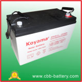 2015 Your Best Supplier with The Highest Quality for Gel Battery/Solar/Deep Cycle Battery