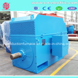 Yrkk IC616 Three-Phase Silp Ring Wound Rotor Induction Motor