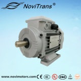 750W AC Permanent Magnet Synchronous Motor with UL/Ce Certificates (YFM-80B)
