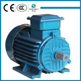 Quality assured fair price Y2 series squirrel cage induction motor