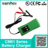 Different Current 6V / 12V Output Maintain Battery Charger