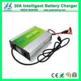 30A 12V Smart Lead Acid Solar Battery Charger (QW-B30A)