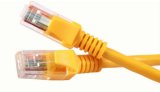 Best Sell RJ45 Cat5e UTP Networking Cable & Patch Cable