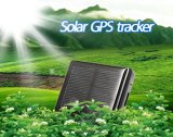 Ultra-Long Battery Life Solar Power Cow Sheep Container Waterproof GPS Tracker Solar Panel Power Supply, Strong Magnetic Pin RF-V26