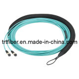MTP-MTP 12 Fiber Cores Om3 10g Fiber Optic Patch Cord