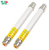 Fuse/High Voltage Fuse/ Xrnt Fuse for Transformer Protection Fuse