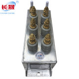 Rfm0.65-1000-30s High Frequency Electric Capacitor