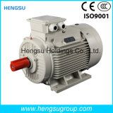 Ye3 5.5kw-2p Three-Phase AC Asynchronous Squirrel-Cage Induction Electric Motor for Water Pump, Air Compressor