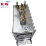 D. D. Filter Capacitor Rfm4.0-700-34s