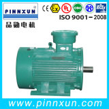 Electric AC Explosion Proof Motor