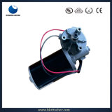 Factory 12/24VDC Gear Motor for Lift Gate of Automobile