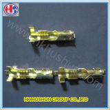 Factory Solder Crimp Terminal Pins with Brass (HS-DZ-0046)